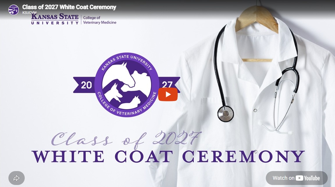 White Coat Ceremony livestream graphic