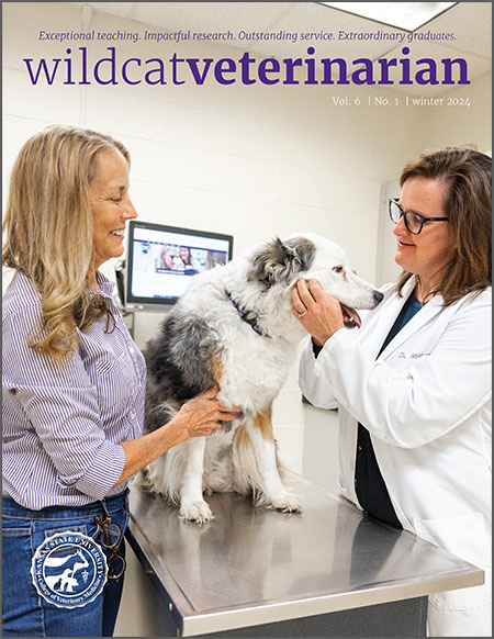 Wildcat Veterinarian 