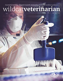 Wildcat Veterinarian 
