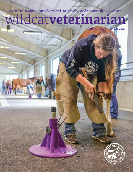 Wildcat Veterinarian 