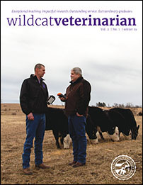 Wildcat Veterinarian 