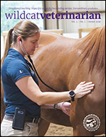 Wildcat Veterinarian 