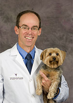 Dr. Ken Harkin