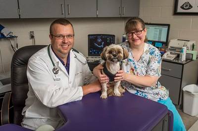 Cardiology Team