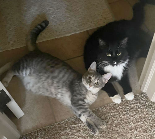 emmy and eloise