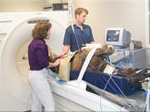 Dr. Bonnie Rush performing a CT