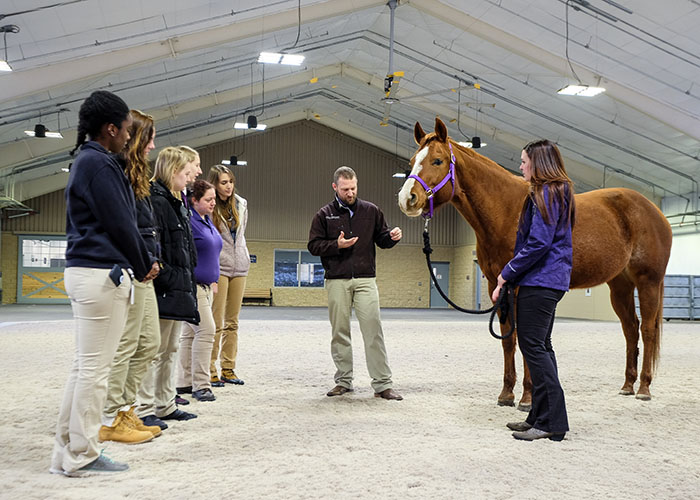 Equine Performance Testing Center