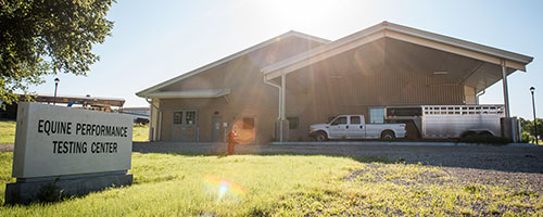 Equine Performance Testing Center