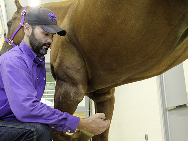 Dylan Lutter - Equine Performance Medicine