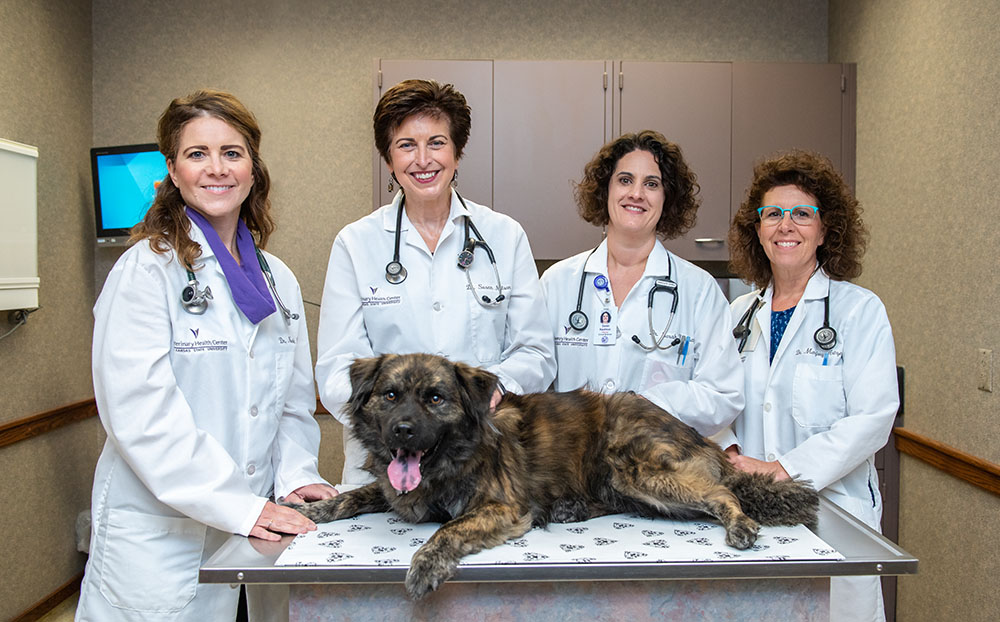 Pet Health Group Doctors