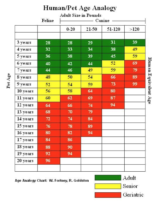 Human/Pet Age Analogy