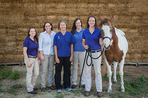 Equine Group