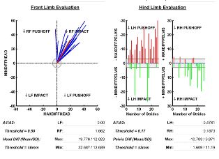 Lameness Locator Report