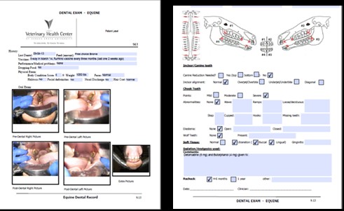 Digital Charting