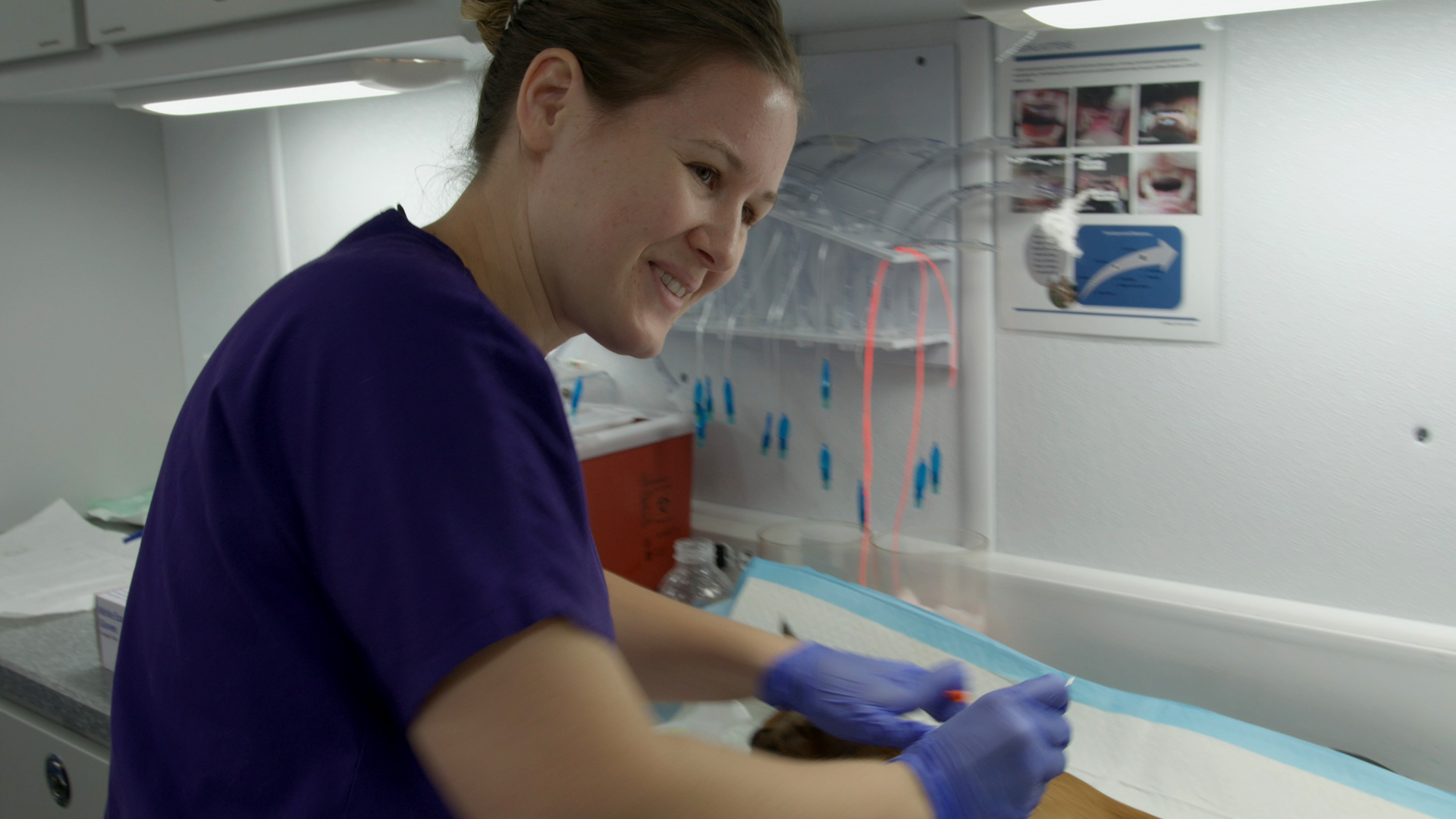 Veterinary Nurse Intern Program